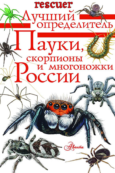 Пауки, скорпионы и многоножки России