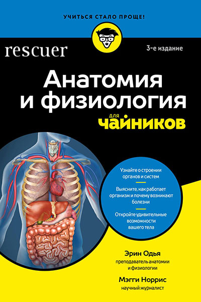 Анатомия и физиология для чайников